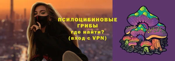 бошки Верхнеуральск