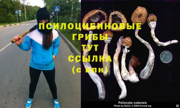 MDMA Premium VHQ Верхний Тагил
