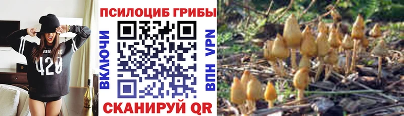 дарнет шоп  Верхний Уфалей  Псилоцибиновые грибы ЛСД 